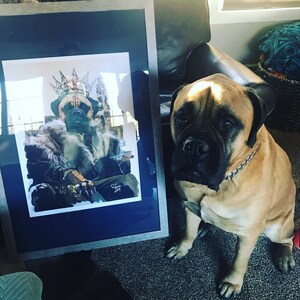 May include: A framed illustration of a dog wearing a crown and fur-trimmed robe, sitting on a throne. A large brown dog is sitting in front of the frame.