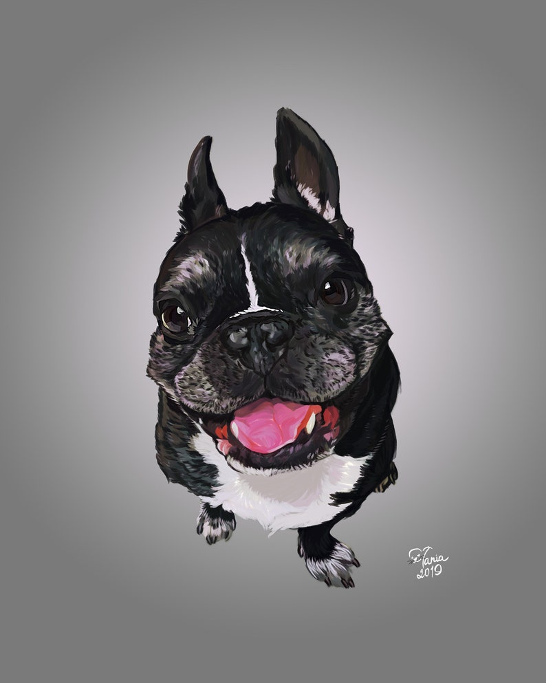 Free Free 290 Bull Terrier Svg Free SVG PNG EPS DXF File
