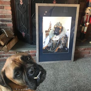 May include: A framed portrait of a dog dressed as royalty, wearing a crown, a pearl necklace, and a gold and white gown. The dog is sitting on a throne with a gold and white fabric background. A brown dog is looking at the portrait.