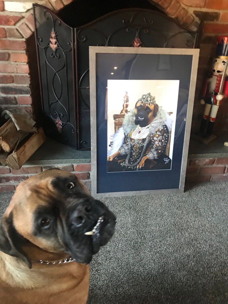 May include: A framed portrait of a dog dressed as royalty, wearing a crown, a pearl necklace, and a gold and white gown. The dog is sitting on a throne with a gold and white fabric background. A brown dog is looking at the portrait.