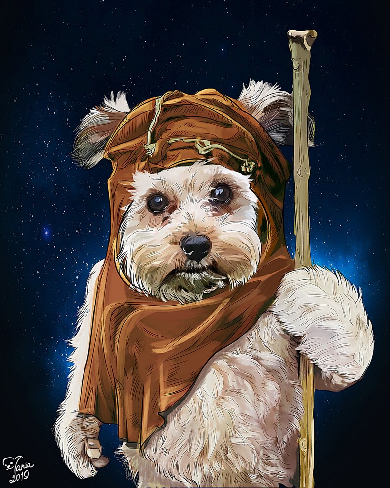 Star character pet portrait commission Custom cat portrait Pet Etsy