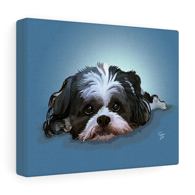 May include: Canvas art print of a dog with black and white fur, lying down on a blue background. The dog has a white patch on its head and a fluffy white and brown muzzle. The artwork is signed in the bottom right corner.