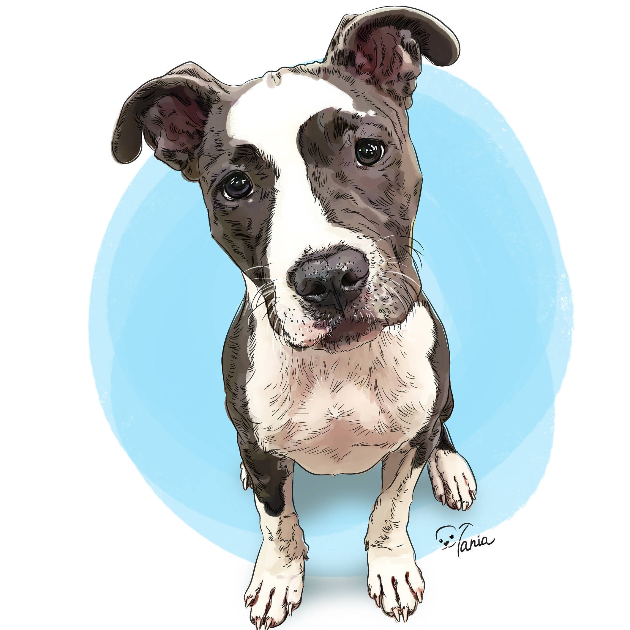 Pitbull pet portrait Custom dog painting Pit bull art ...
