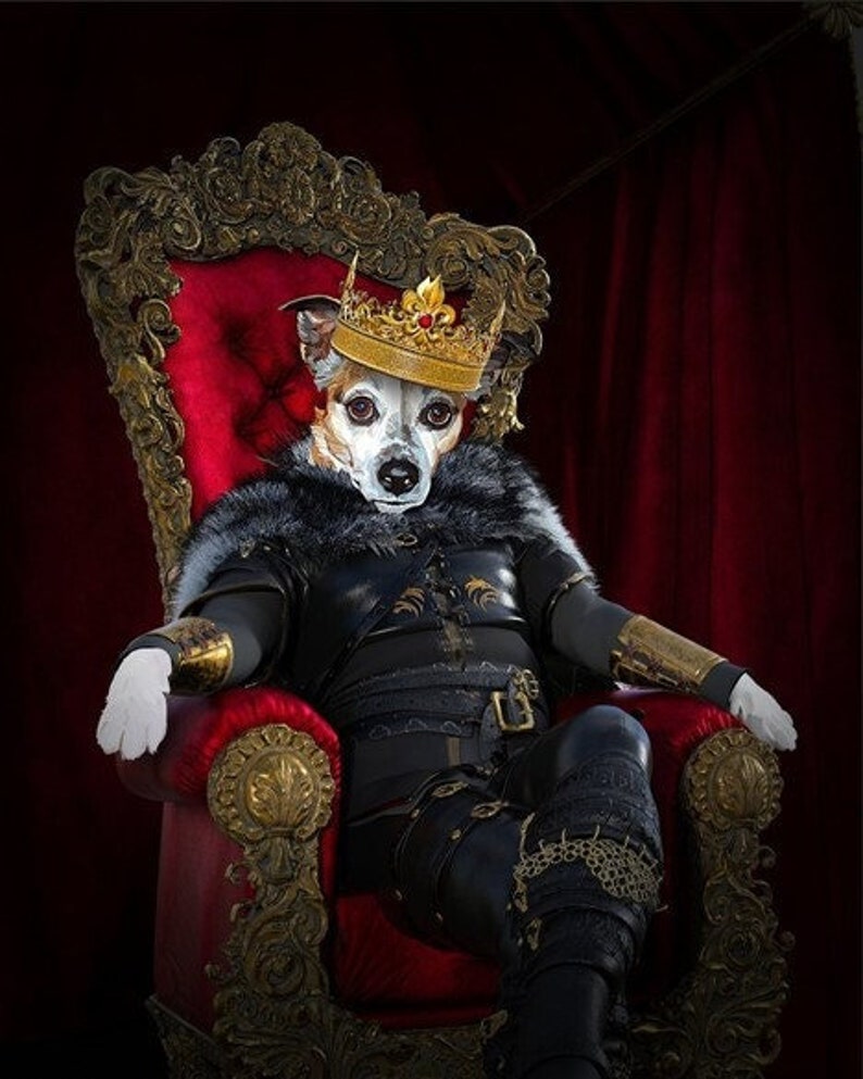 May include: A small dog wearing a gold crown and black clothing sits on a red velvet throne with gold accents. The dog is looking directly at the camera.