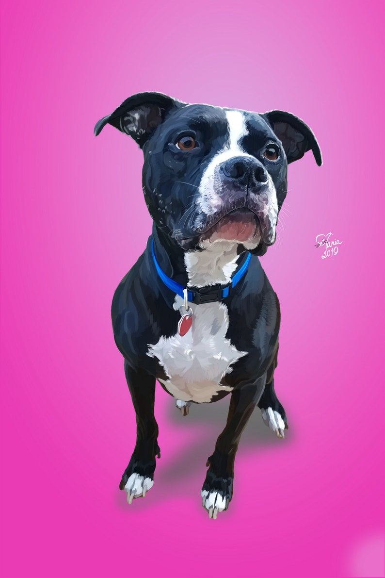 Free Free 327 Bull Terrier Svg SVG PNG EPS DXF File