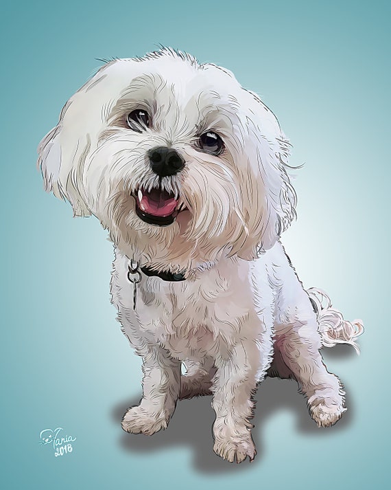 Custom digital drawing Customized portrait Pet poster Digital pet portraits 8x10 Personalized dog painting Pet cartoon Printable pet drawing