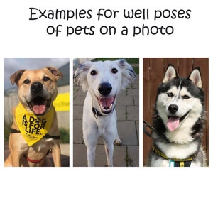 May include: Three dogs are looking at the camera. The dog on the left is a brown and white brindle with a yellow bandana that says "A Dog Is For Life." The dog in the middle is a white dog with black ears and a black collar. The dog on the right is a black and white husky with a yellow collar.