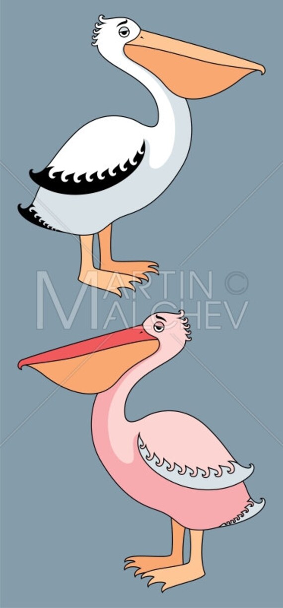 Pelicans Vector Illustration De Dessin Anime Oiseau Rose Etsy