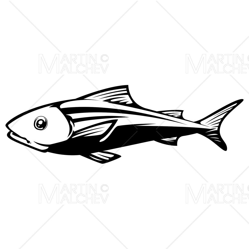 Fish Vector Water Fish on White Vector Illustration. Water, Animal, Icon, Sea, Fishing ...