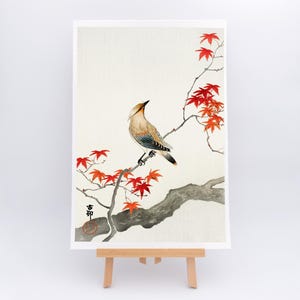 Stampa giapponese | Stampa giclée d'arte su carta Hahnemühle Awagami | Carta di lusso con bordo sfrangiato - Hohara Koson - arte da parete