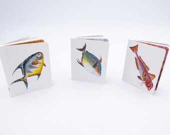 Mini carnets poissons