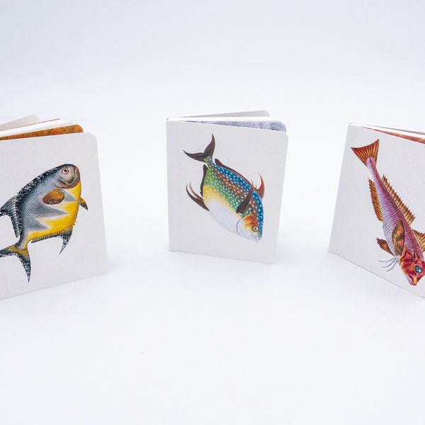 Mini carnets poissons