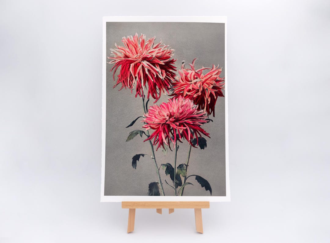 Shwethalyaung Buddha by Slim Aarons - Giclée Print or Framed