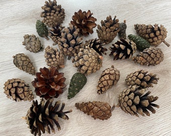 30 pcs Pine cones Natural pine cones Baltic pine Dried pine cones  Christmas wreaths supplies Winter home decor  autumn harvest rustic decor