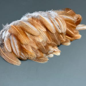 130 pcs Orange feathers Beige feathers Curled feathers Jewelry feathers Loose feathers Soft feathers Feathers for crafts Amazing feathers
