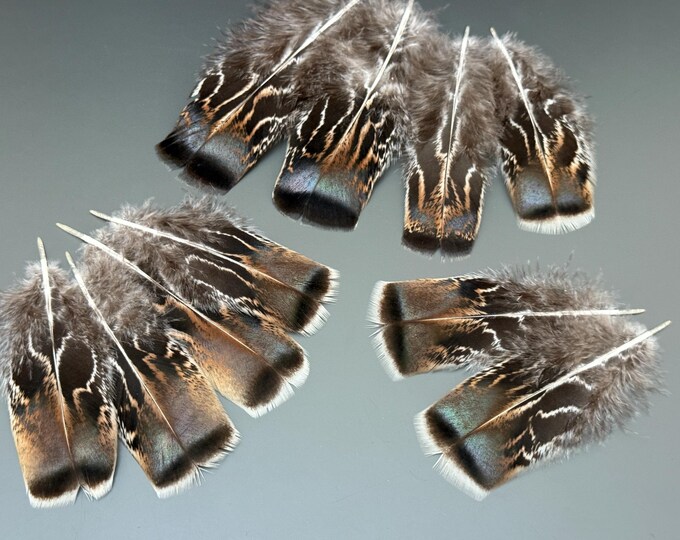 10 Pcs Iridescent Feathers Green Shade Feathers Long Feathers Feathers ...