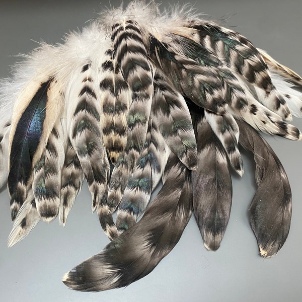 25 pcs Striped rooster feathers Gray feathers White feathers Natural feathers Rooster tail Smudge feathers Hat feathers Boho decor