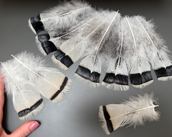 10 pcs Turkey feathers Natural feathers Jewelry feathers rare feathers Hat decor Amazing feathers Smudge feathers Soft feathers White feathe