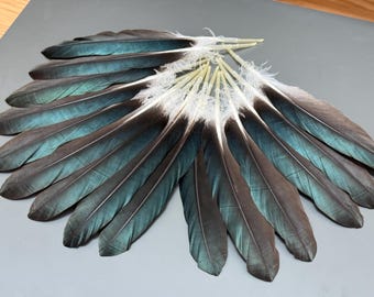 15 pcs Long Duck feathers Natural feathers Jewelry feathers Rare feathers Hat decor Amazing feathers Green feathers Smudge fan Black feather