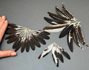 26 pcs Assorted feathers Rooster feathers Smudge feathers Hat decor Striped feathers Amazing feathers Long feathers Loose feathers Soft