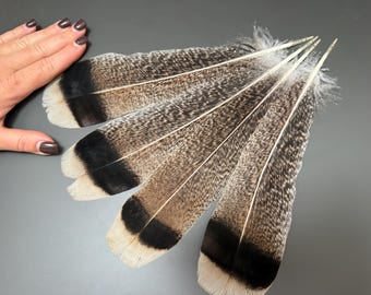 4 pcs Turkey feathera Long feathers Turkey tail Brown feathers Smudge feathers Soft feathers Pan feathers Hat decor Amazing feathers