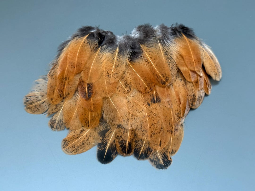 60 Pcs Brown Feathers Rooster Feathers Natural Feathers Loose Feathers ...