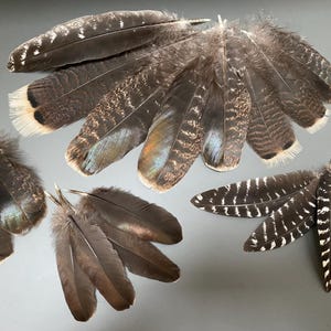 18 pcs Turkey feathers Brown feathers Smudge feathers Hat decor Real bird feathers Rare feathers feathers for crafts Amazing feathers