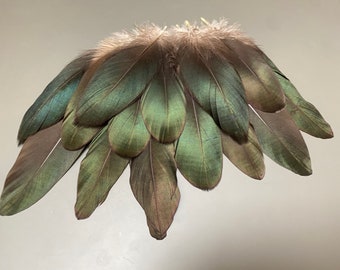 14 pcs Green duck feathers Natural feathers Jewelry feathers Earring feathers Soft feathers Hat feathers Smudge feathers Boho decor