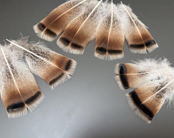 8 pcs Turkey feathers Natural feathers Smudge feathers Real bird feathers Hat decor Amazing feathers Soft feathers Pen feathers Long feather