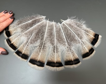 8 pcs Turkey feathers Natural feathers Loose feathers Jewelry feathers Rare feathers Hat decor Gray feathers Real bird feathers Smudge fan