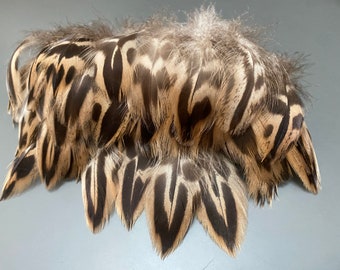 60 pcs Amazing Leopard duck feathers Spotted feathers JEwelry feathers Earring feathers Real bird feathers Soft feathers Feathers for crafts