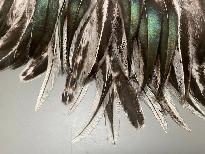 40 Pcs Rooster Tail Feathers Jewelry Feathers Real Bird Feathers Gray ...