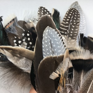 80 pcs Assorted Feathers Natural Feathers Real Bird Feathers Feathers Asortiment Clean Feathers Craft Feathers Craft Supplies Turkey Feather