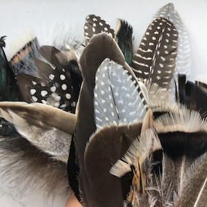 80 Stück verschiedene Federn Naturfedern Echte Vogelfedern Federn Assortiment Saubere Federn Craft Federn Bastelbedarf Truthahn-Feder