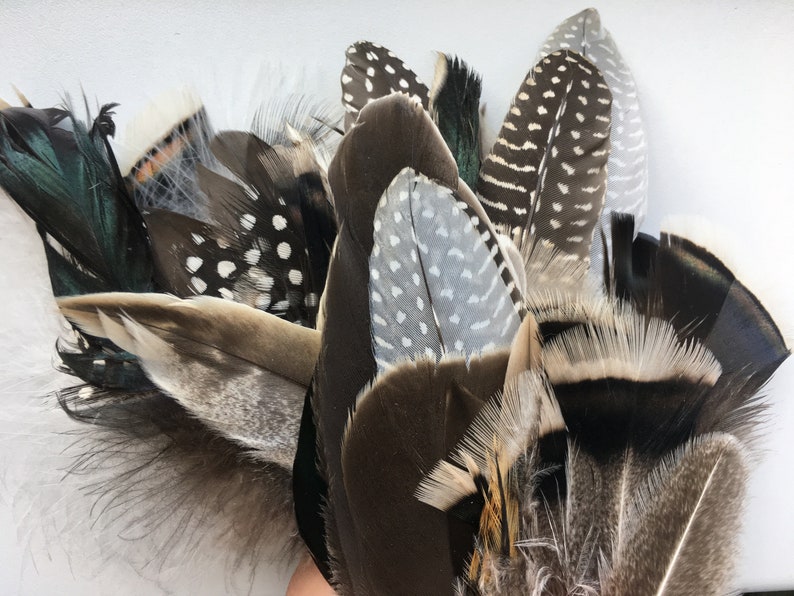 Assorted feathers set 80 pcs feathers set Mixed feathers Natural feathers for crafts feathers for jewelry making Feathers for smudge Long and small feathers Striped and spotted feathers Real bird feathers Collectible feathers Duck feathers Turkey etc