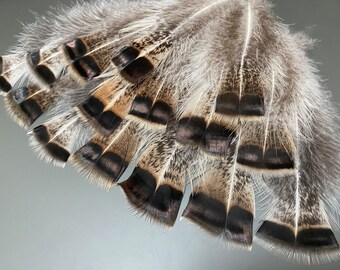 15 pcs Assorted turkey feathers Natural feathers Striped feathers Real bird feathers Amazing feathers Jewelry feathers Soft feathers Bronze