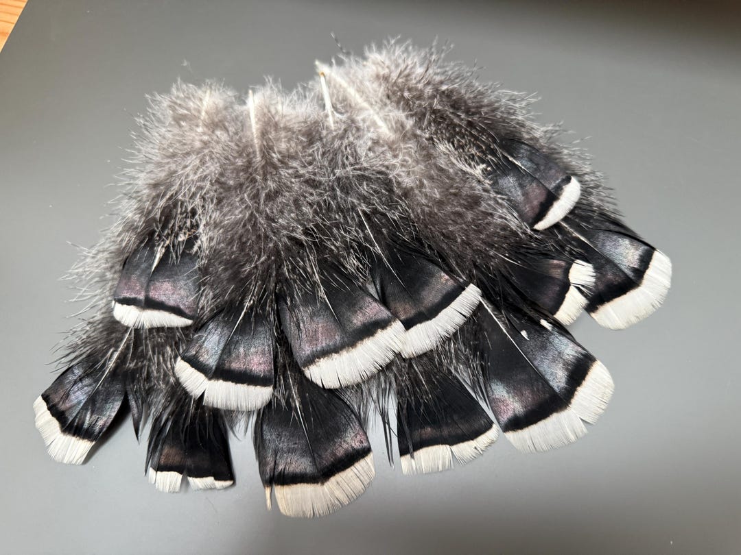 12 Pcs Bronze Feathers Striped Feathers Natural Feathers Black Feathers ...