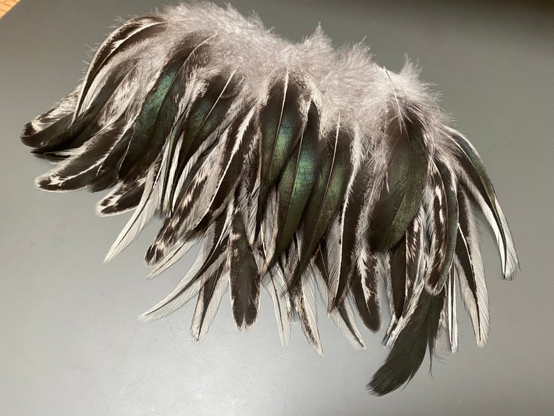 40 Pcs Rooster Tail Feathers Jewelry Feathers Real Bird Feathers Gray ...