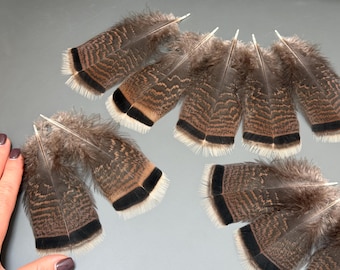 10 pcs Brown feathers Natural feathers Real bird fathers Hat decor Amazing feathers Smudge fan Brown turkey Hat decor Striped feathers
