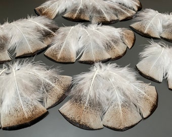 40 pcs Plumes de dinde Plumes rayées Plumes de bijoux Petites plumes Plumes de dindon sauvage Plumes grises Décoration de mariage Véritable plume d'oiseau