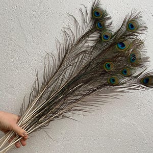 10 pcs Peacock tail feathers Green feathers Long feathers Iridescent feathers Hat decor Amazing feathers Smudge fan Feather decor