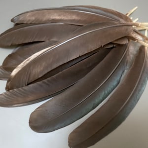 12 pcs Black green shaded feathers Wing feathers Long feathers Hat feathers Black feathers Real bird feathers Rare feathers Smudge feathers