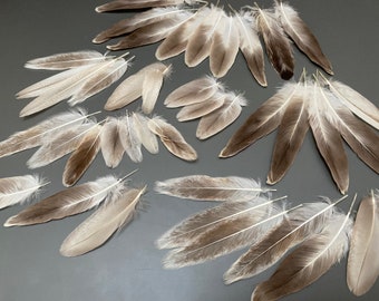 35 pcs Duck feathers Flat feathers Natural feathers Gray feathers Amazing feathers Real bird feathers Soft feathers Feathers for crafts
