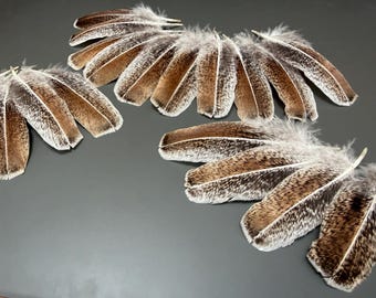 20 pcs Brown Turkey Feathers, 5.2 Inch Natural Loose Feathers, Hat Decor, Smudge Fans