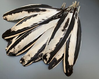 14 piezas Plumas de ala larga Plumas rayadas Ala de gallo Decoración de la boda Decoración boho Pluma de sombrero Plumas sueltas Plumas de pluma Plumas manchadas