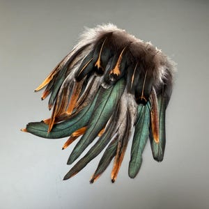 25 pcs Rooster tail feathers Green feathers Striped feathers Natural feathers Jewelry feathers Rare feathers Amazing feathers Smudge