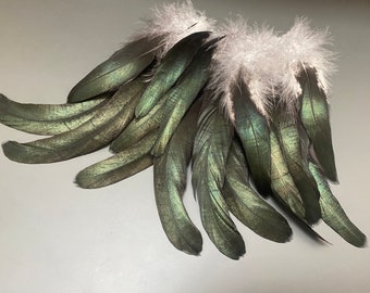 17 piezas Plumas de gallo Plumas verdes Plumas naturales Plumas de joyería Plumas naturales Plumas sueltas Plumas suaves Plumas increíbles