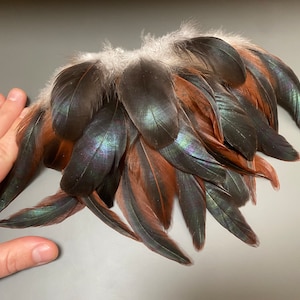 24 pcs Green feathers Natural feathers Loose feathers Smudge feathers Tail feathers Amazing feathers Real bird feathers Hat feathers