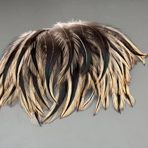 50 pcs Rooster feathers Striped feathers Green feathers Natural feathers Loose feathers Smudge feathers Hat decor Real bird feathers