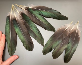 8 piezas Plumas de pato verde Plumas largas Plumas de joyería Plumas de pendientes Plumas raras Plumas manchadas Plumas de sombrero Plumas iridiscentes